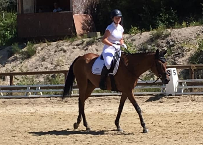 Cours &eacute;questres pour adultes en formule Happy hour
