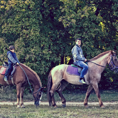 Venez découvrir l'équitation dans le centre équestre à Blond