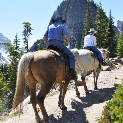 Venez découvrir l'équitation dans le centre équestre à Blond