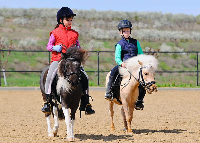 Stage d'&eacute;quitation pendant les vacances scolaires &agrave; Blond