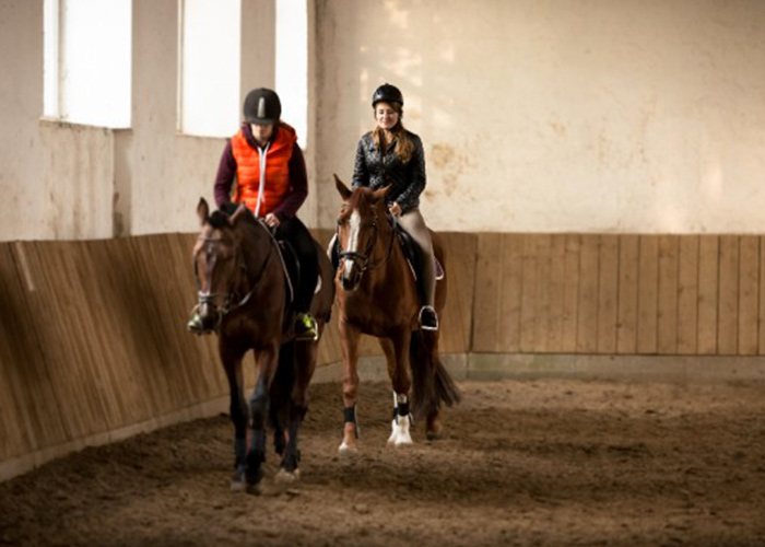 Stage &eacute;questre avec h&eacute;bergement &agrave; Blond