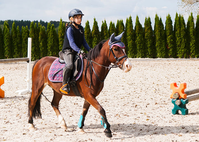 Chasse au tr&eacute;sor aux Hauts de Blond, club d&rsquo;&eacute;quitation &agrave; Blond