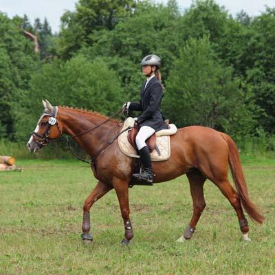 Venez découvrir l'équitation dans le centre équestre à Blond