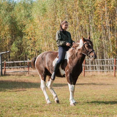 Venez découvrir l'équitation dans le centre équestre à Blond