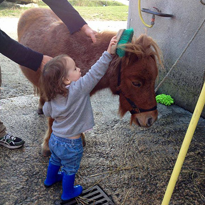 Venez découvrir l'équitation dans le centre équestre à Blond