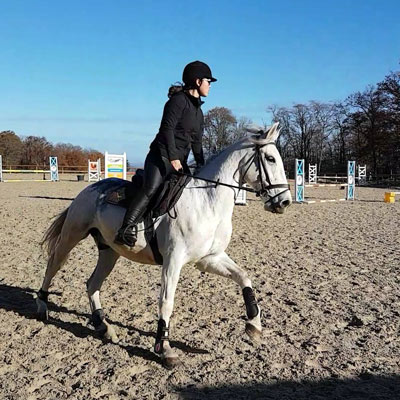 Venez découvrir l'équitation dans le centre équestre à Blond