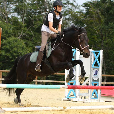 Venez découvrir l'équitation dans le centre équestre à Blond
