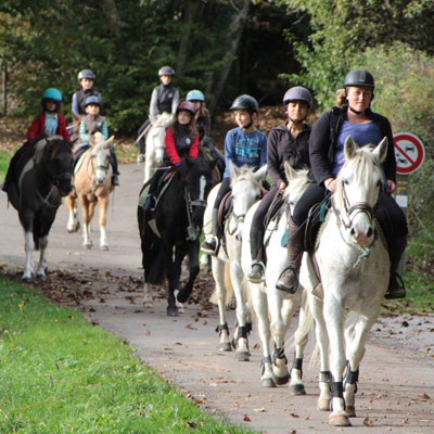 Venez découvrir l'équitation dans le centre équestre à Blond