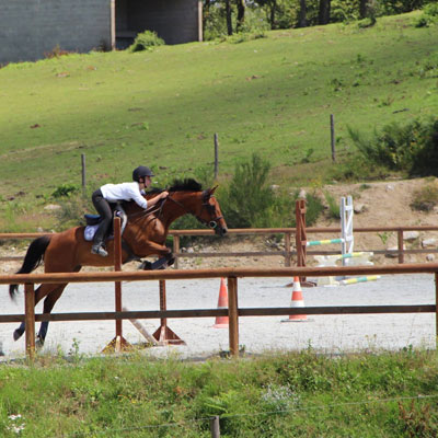 Venez découvrir l'équitation dans le centre équestre à Blond