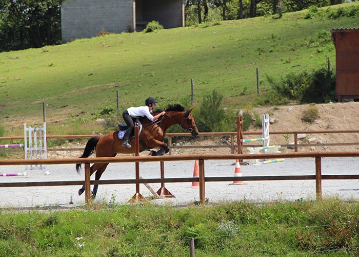 Service de travail des chevaux