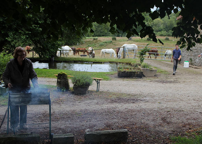 Une randonn&eacute;e pour progresser &agrave; cheval